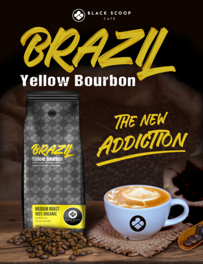 Brazil Yellow bourbon