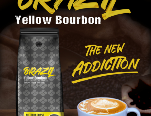 Brazil Yellow Bourbon